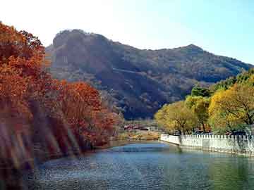 蓝天观赏鸽，青春没有地平线